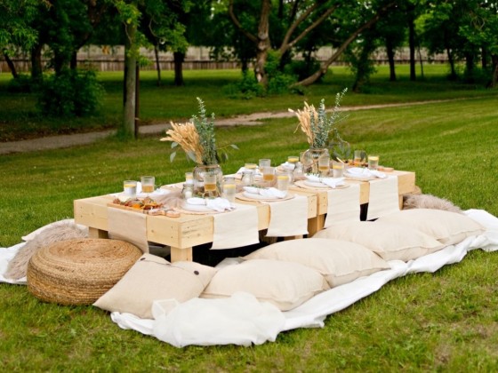 CURRENT Picnic makes for the easiest, chicest picnic in the 'Peg